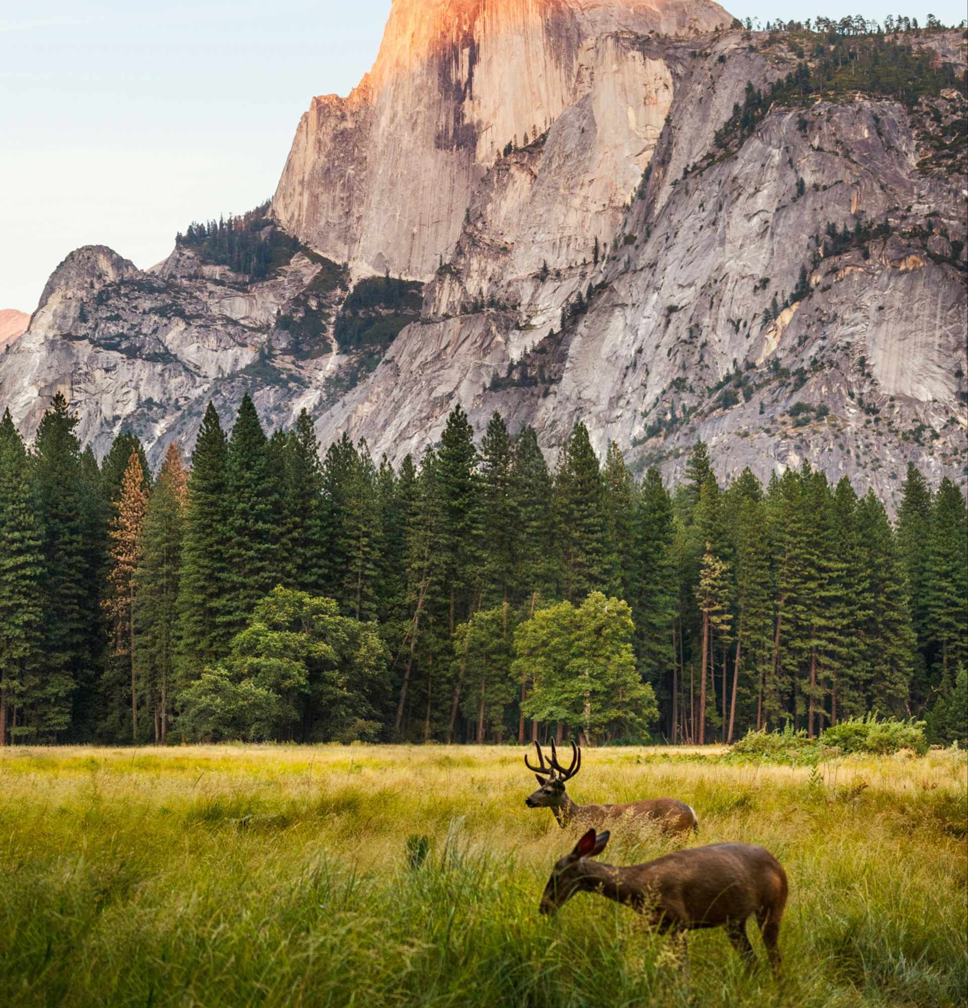 Tips For Visiting Yosemite In The Summer