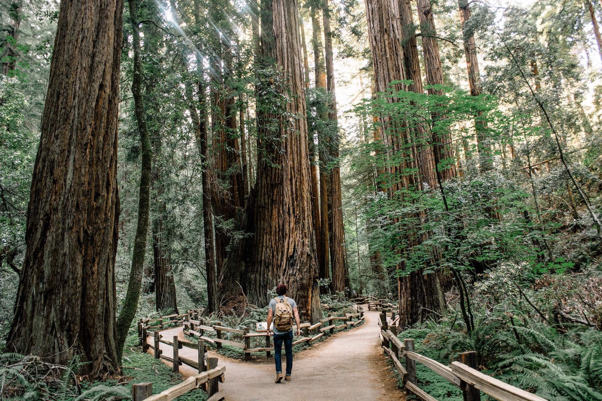 7 Unique Family-Friendly Summer Adventures Worth The Drive