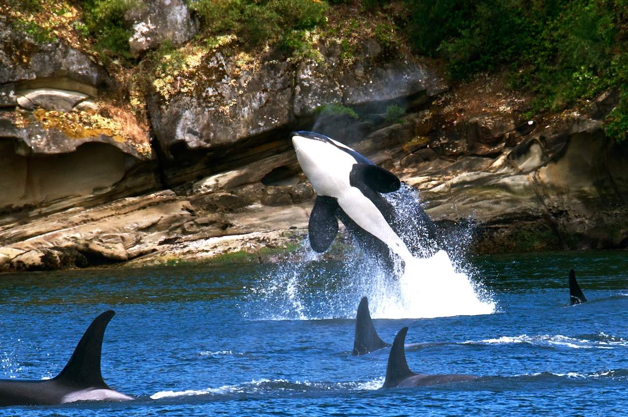 Travel Guide to the San Juan Islands, WA