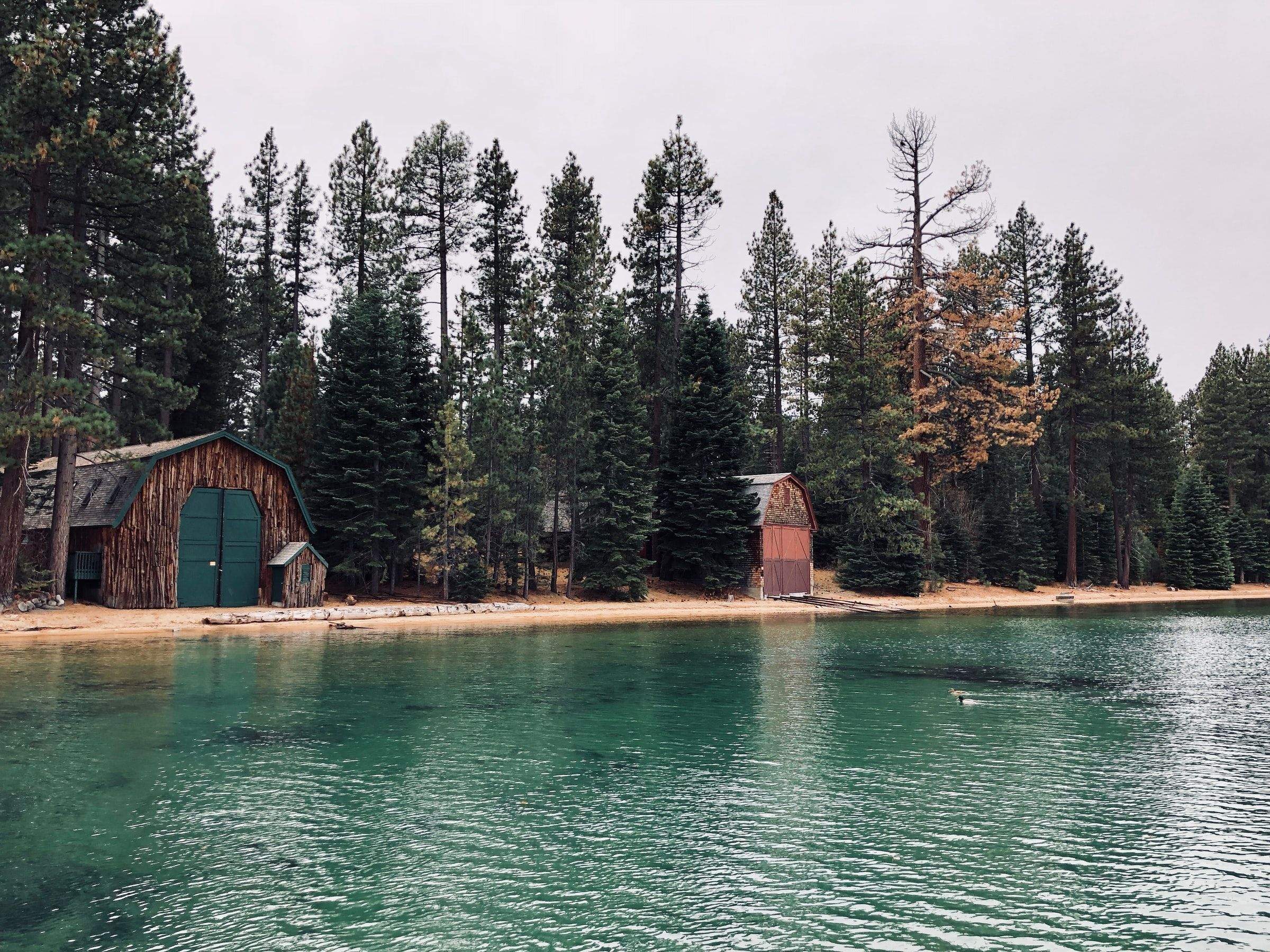 Best Bay Area Glamping Options